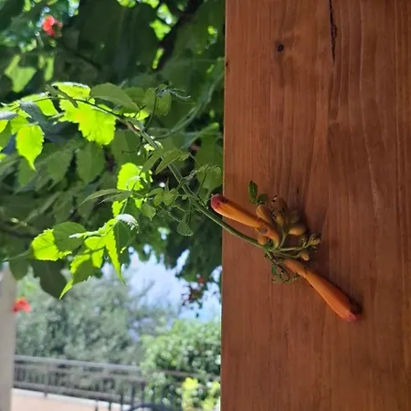 Smit Casa de hóspedes Novi Vinodolski
