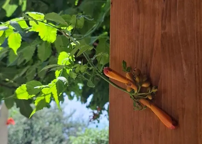 Smit Vendégház Novi Vinodolski